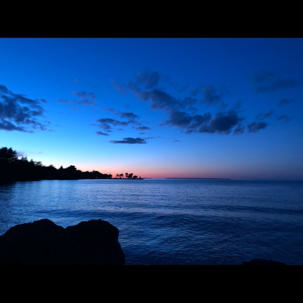 Meet your Posher, Ella